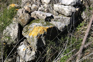 Maruniler köy kalıntıları 