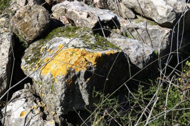 Maruniler köy kalıntıları 