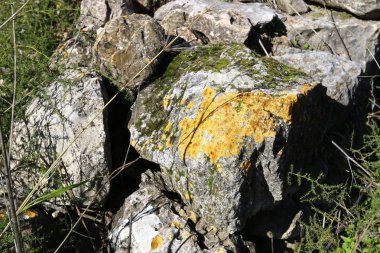 Maruniler köy kalıntıları 