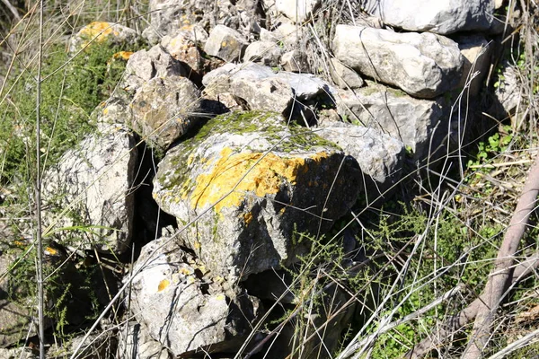 Maruniler köy kalıntıları 