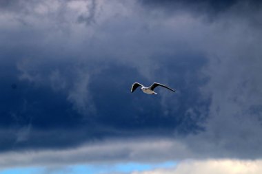 başınızın üstünde geniş gökyüzü 