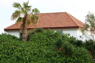 rasgele şehir fotoğraf 