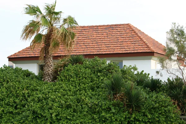 rasgele şehir fotoğraf 