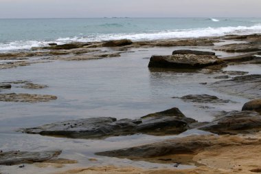 Akdeniz kıyısında  