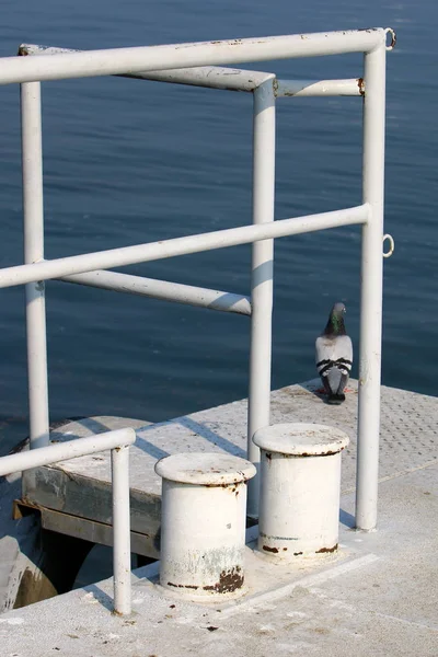 Pontile sulla costa — Foto Stock