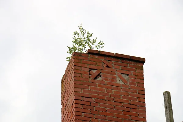 Muro de piedra y hormigón — Foto de Stock