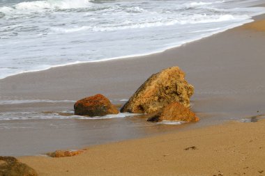 Akdeniz kıyısında 