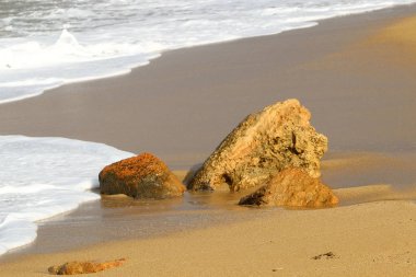 Akdeniz kıyısında 