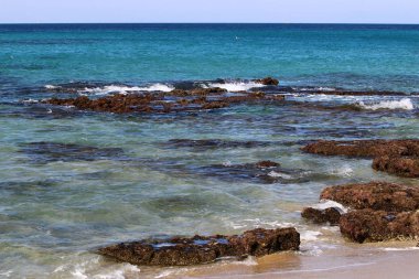 Akdeniz kıyısında 