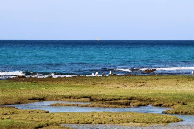 Akdeniz kıyısında 