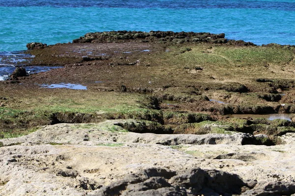 Oever van de Middellandse Zee — Stockfoto