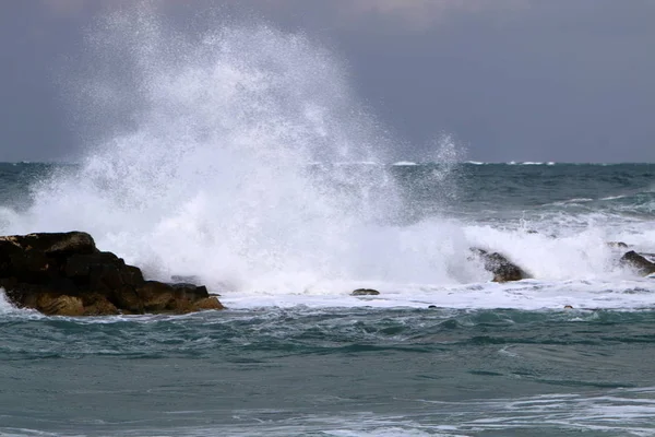 Shore of the Mediterranean Sea — Stock Photo, Image