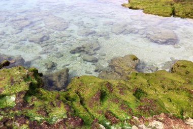 Akdeniz manzaralı kayalık sahil 