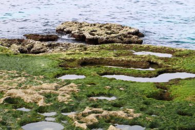 Akdeniz manzaralı kayalık sahil 