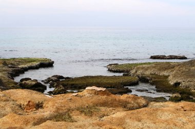 Akdeniz manzaralı kayalık sahil 