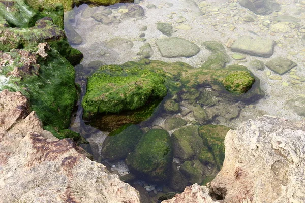 Rivage rocheux de la mer Méditerranée — Photo