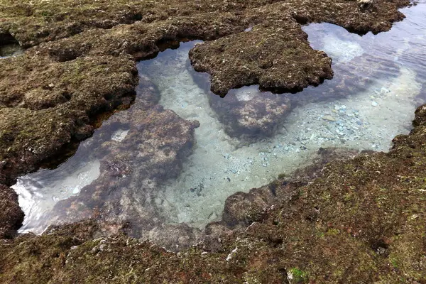Orilla rocosa del mar Mediterráneo — Foto de Stock