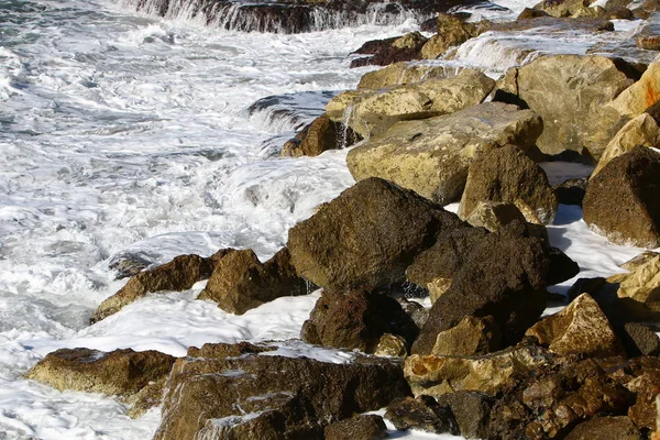 Rocky shore of the Mediterranean Sea — Stock Photo, Image