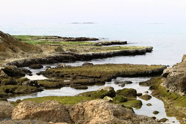 Скалистый берег Средиземного моря — стоковое фото