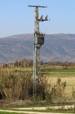 metal elektrik direği 