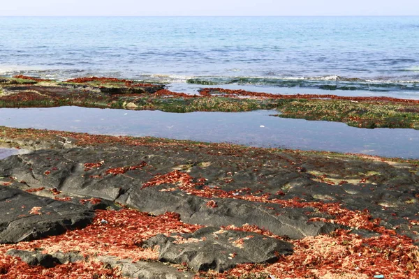 Берег Средиземного моря — стоковое фото