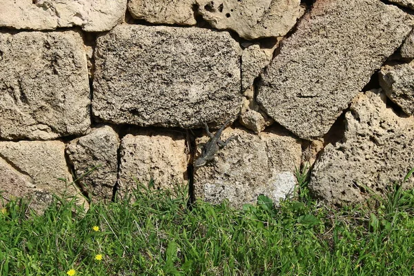 Appearance and texture of the stone — Stock Photo, Image