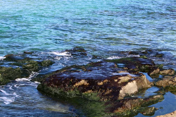 Appearance and texture of the stone — Stock Photo, Image