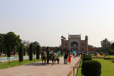 Agra, Hindistan bulunan taj Mahal - Türbesi - Camii 