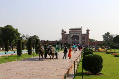 Agra, Hindistan bulunan taj Mahal - Türbesi - Camii 