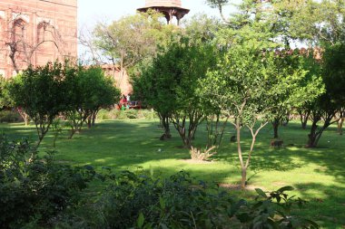 Agra, Hindistan bulunan taj Mahal - Türbesi - Camii 