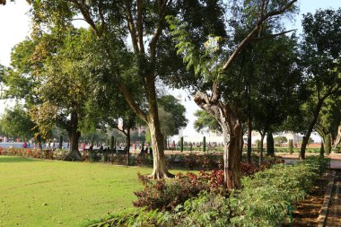 Agra, Hindistan bulunan taj Mahal - Türbesi - Camii 