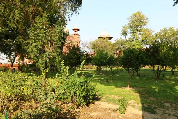 Taj Mahal - Mausoleum - moskee, gelegen in Agra, India — Stockfoto