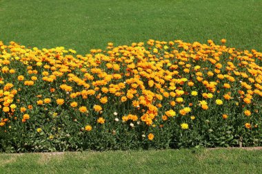 Fatehpur Sikri Hindistan'da ölü bir şehirdir 