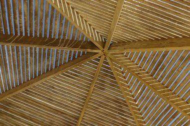 Şehir ve doğa paralel çizgiler 