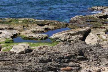 Akdeniz kıyısında 