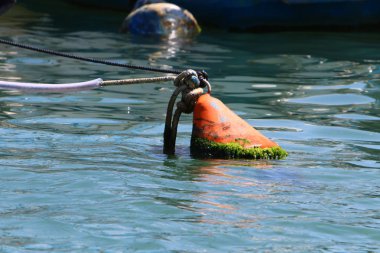Akdeniz kıyısında 