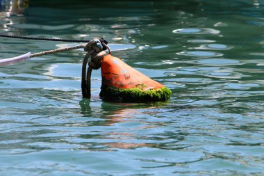 Akdeniz kıyısında 