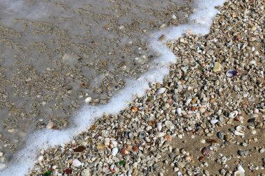 Akdeniz kıyısında 