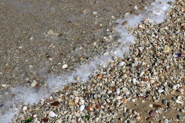 Akdeniz kıyısında 