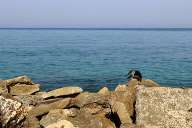 Akdeniz kıyısında 