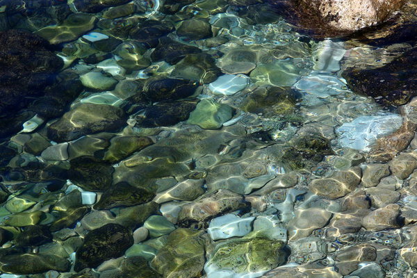 Берег Средиземного моря
 