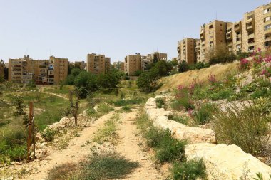 Beyaz Şehir Kudüs 