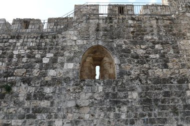 Beyaz Şehir Kudüs 