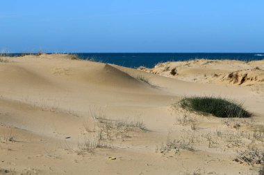 Doğa yaşam alanıdır 