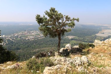 Doğa yaşam alanıdır 