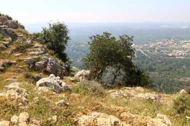 Doğa yaşam alanıdır 