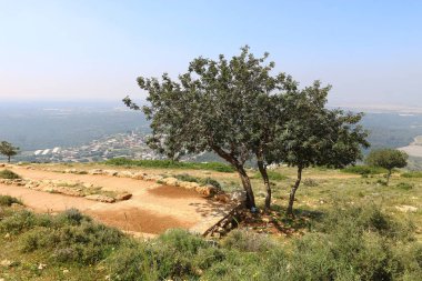 Doğa yaşam alanıdır 