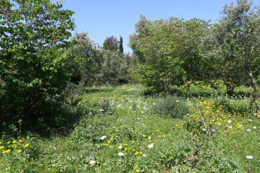 Doğa yaşam alanıdır 