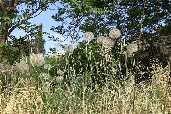 Doğa yaşam alanıdır 