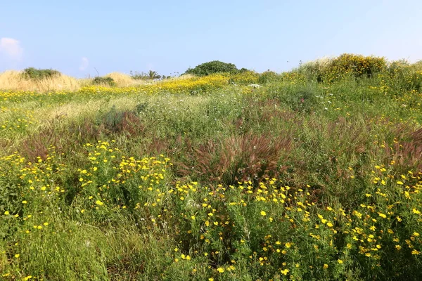 Doğa yaşam alanıdır 